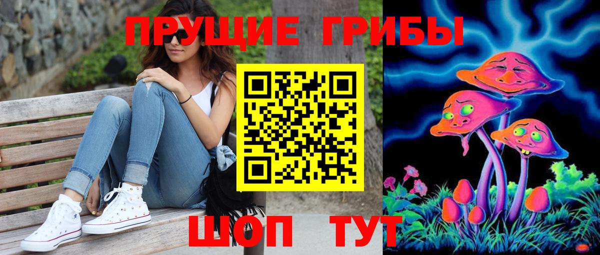 Псилоцибиновые грибы Psilocybine cubensis  Вход с VPN  Назарово  Псилоцибиновые грибы Psilocybe 